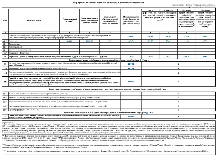 Декларація ФОП IV групи ЄП