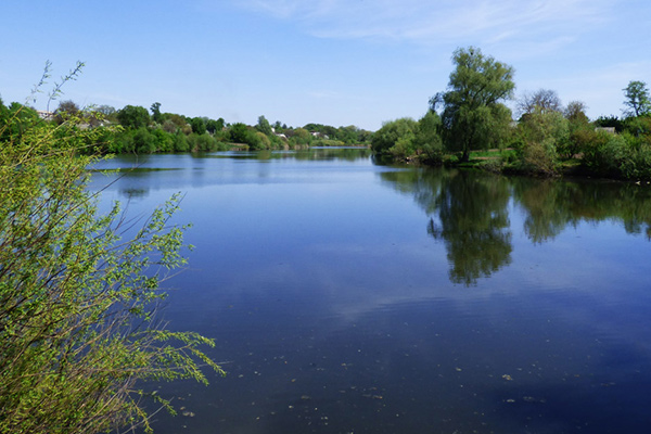 Збільшення штрафів до 5100 грн за порушення у сфері охорони водних ресурсів: законопроєкт від Уряду