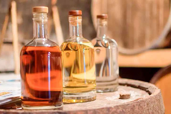 Підтримка виноробів та малих виробників крафтового алкоголю: опубліковано закон