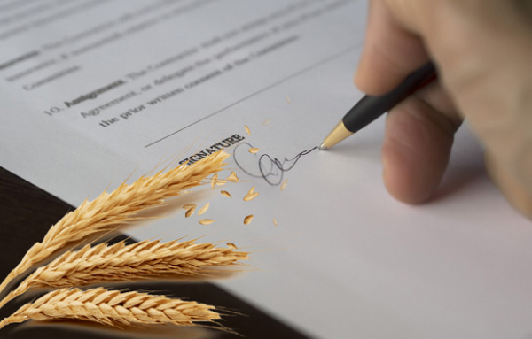 Законопроєкт щодо функціонування та обігу аграрних розписок підтримали в комітеті ВРУ