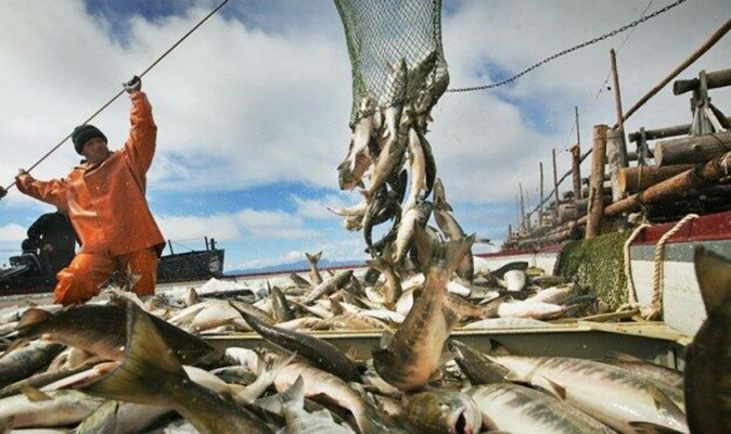 Затверджено уніфіковану форму акта перевірки у сфері промислового вилову риби