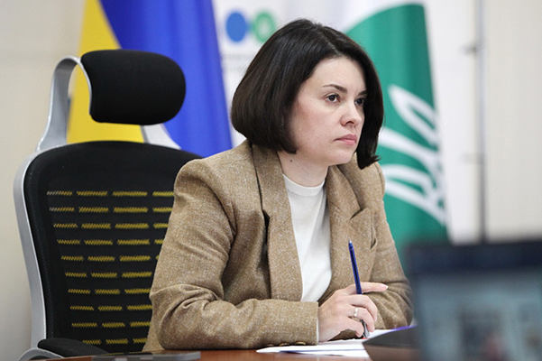 Що з е-аудитом податківців: подробиці від Карнаух