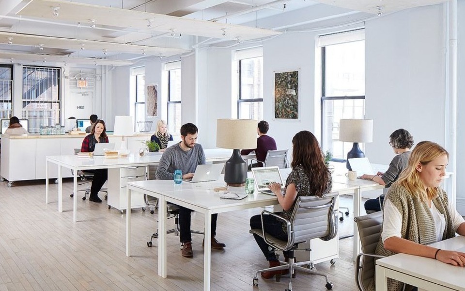 Як мікроклімат офісу впливає на працездатність працівників?