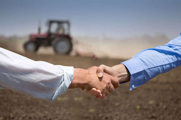 Уряд створить Фонд часткового гарантування кредитів фермерам