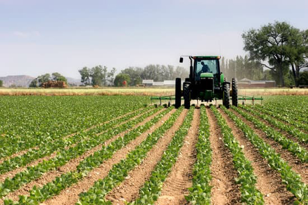 Розширено перелік виробників для  отримання аграріями компенсації вартості придбаної сільгосптехніки
