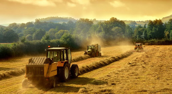 Комітет з аграрної політики підтримує стимулювання діяльності фермерських господарств 