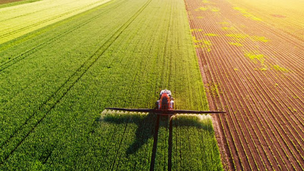 В Україні змінять правила ввезення та застосування незареєстрованих пестицидів