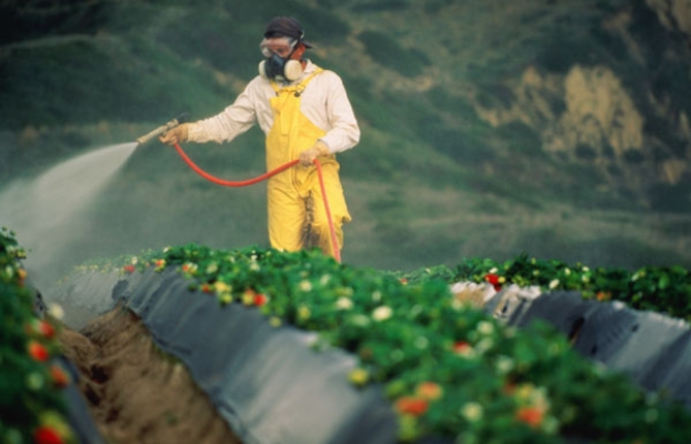 Імпорт пестицидів планують спростити