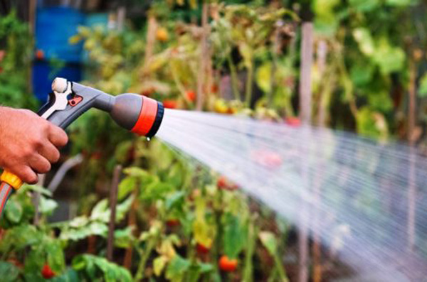 Чи треба сплачувати ренту за воду садівницьким та городницьким товариствам?