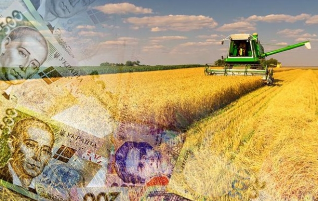 Які види доходів можна віднести до частки сільгоспдоходу «єдинника»?