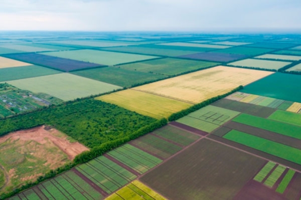В Україні планують спростити процедуру купівлі сільгоспземлі