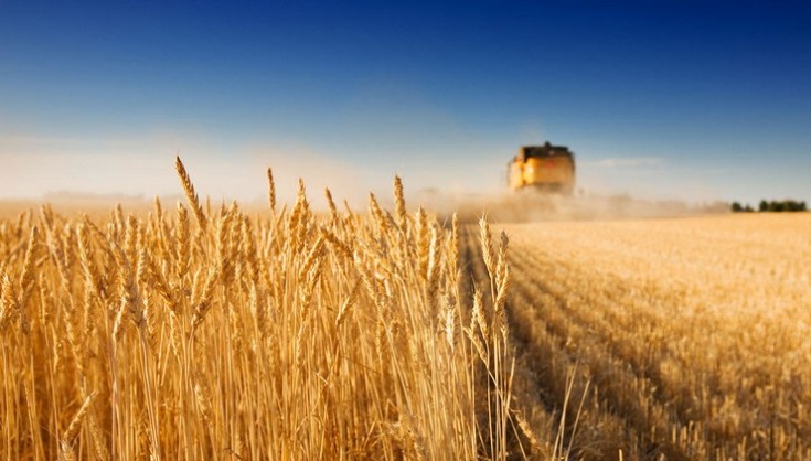 Україна та Польща підписали спільну заяву про експорт українського зерна