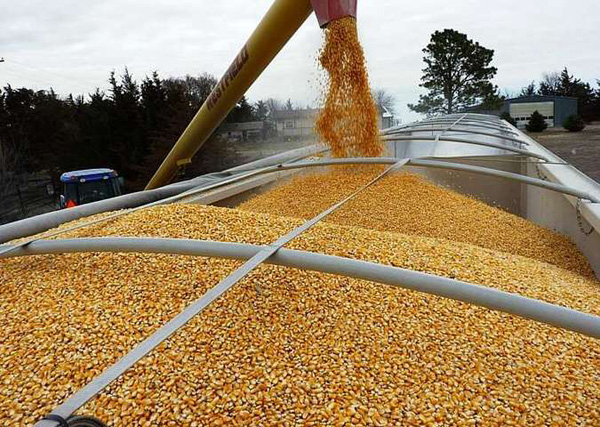 Комітет ВРУ підтримав звільнення від оподаткування імпорту обладнання для зберігання зерна
