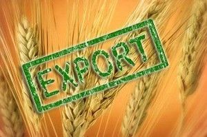 Податкова накладна на експорт зерна: особливості складання