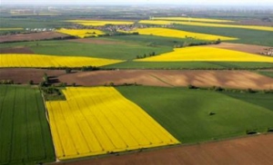 Мораторій на купівлю-продаж земель сільгосппризначення продовжений до 2016 року - закон