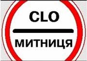 Митні органи несуть відповідальність за оформлення товарів