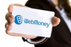 У чому податківці звинувачують WebMoney