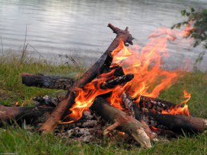 За незаконне багаття в лісі доведеться викласти від 34 до 102 грн