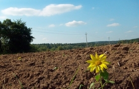 Ліцензування робіт із землеустрою скасували