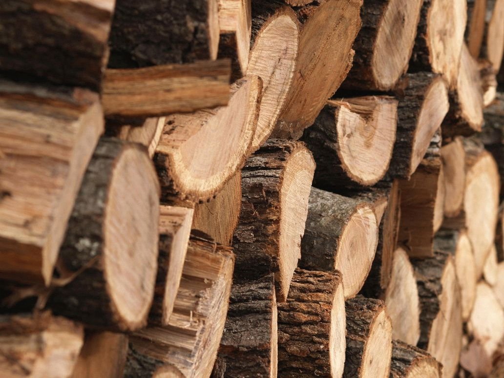 Україна перейшла на європейські стандарти якості деревини