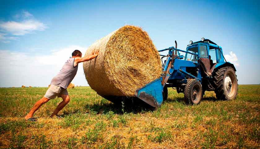 Як доплачуватимуть ЄСВ сімейним фермерським господарствам? Затверджено порядок