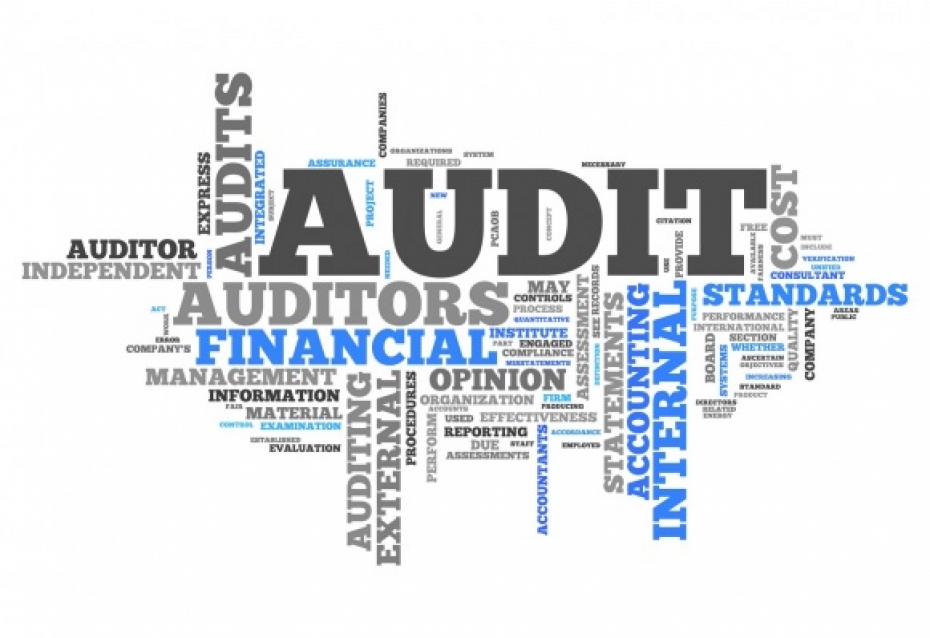 Закон про аудит фінансової звітності та аудиторську діяльність прийнято за основу