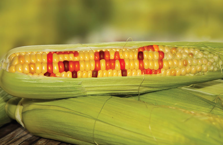 Президент підписав Закон про посилення держконтролю поводження з ГМО