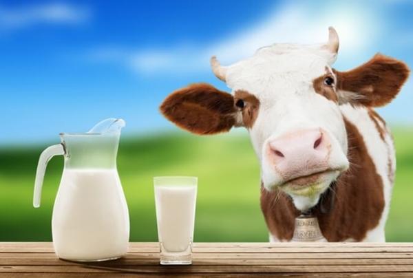 Для молока та молочних продуктів – знижена ставка ПДВ: законопроект
