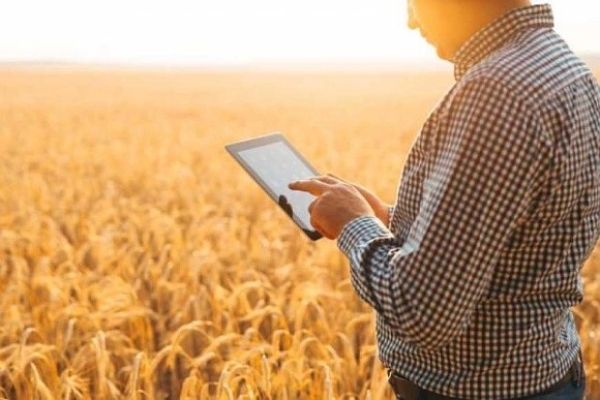 З 2025 року почне діяти Закон про запровадження електронних аграрних розписок
