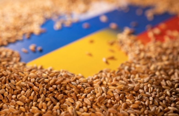 Які товари для зберігання зерна хочуть звільнити від ввізного мита: новий законопроєкт