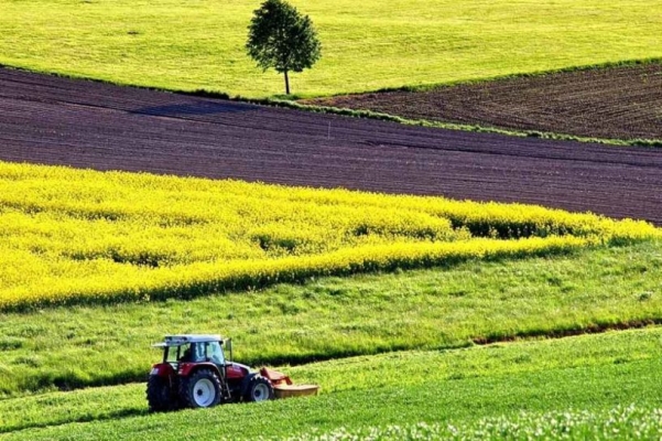 Для учасників бойових дій - пільгові ставки оренди для сільськогосподарських угідь: законопроєкт