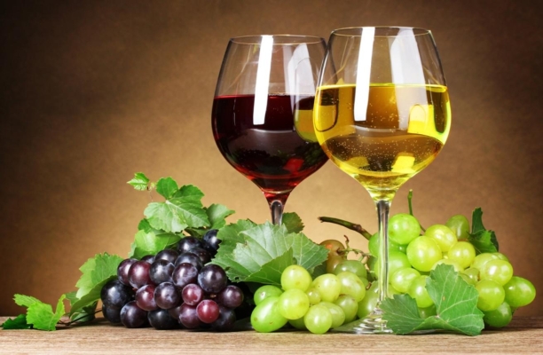 Для малих виробництв виноробної продукції пропонується спростити умови роботи