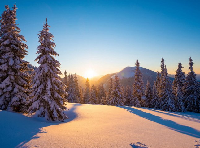 Що нас чекає у січні 2026 року: усе, що потрібно знати бухгалтеру