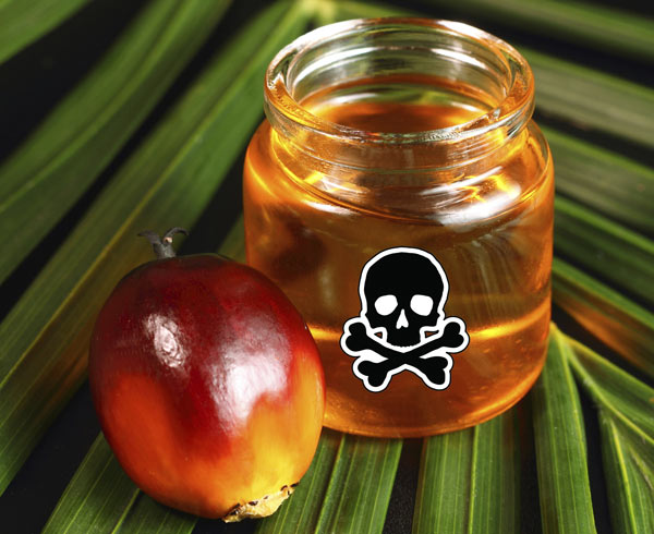 Депутати хочуть заборонити використання пальмової олії у виробництві харчових продуктів