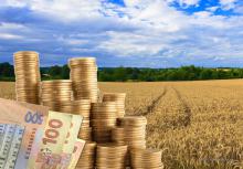 Казначейство перерахувало бюджетну дотацію сільгоспвиробникам 