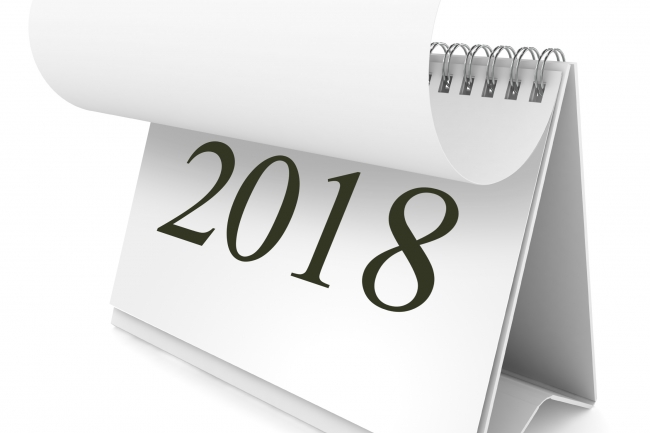 ДФСУ: 2018 рік стане роком розбудови фіскальної служби