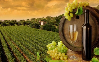 Класифікацію виноробної продукції  приведуть у відповідність з європейською класифікацією